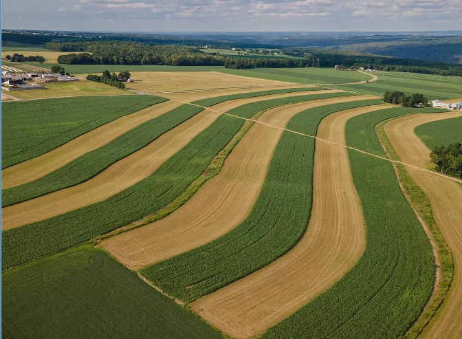 Photo Credit: Cornell Atkinson Center for Sustainability